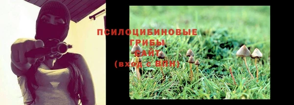 стаф Бугульма